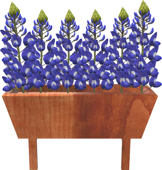 Bluebonnet Flowers Garden Planter Window Cherry Wood Box